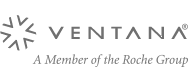 Ventana